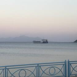 Aussicht beim Abendessen🍤