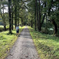 Ex railway track
