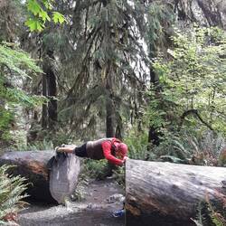 Fitness heute mal anders