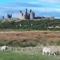 Classic view of Dunstanburgh Castle