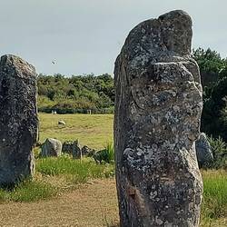 Megalithe in Carnac