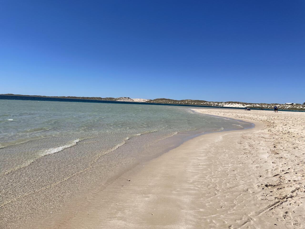 Coral bay