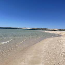 Coral bay