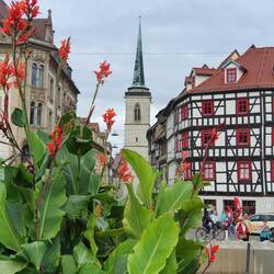 Erfurt