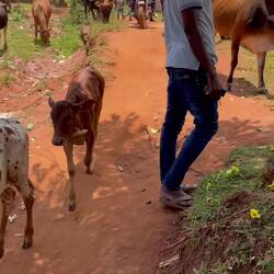 Zwischendrin gibt es auch immer wieder lustige Momente in der doch auch schönen Umgebung