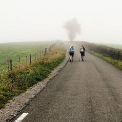 Journée sous le signe de la brume