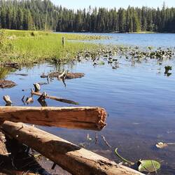 Trillium Lake