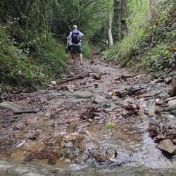Des rus envahissent le chemin après les dernières pluies