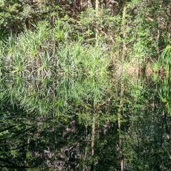 Spieglein, Spieglein...