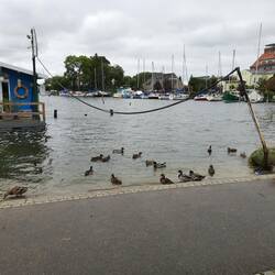 Morgendliche Idylle in Wolgast