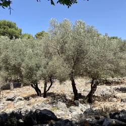 An diesem Ort bin ich einfach eingeschlafen...