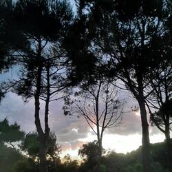 Stürmischer abend