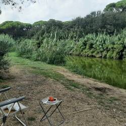 Unser Standort am Fluss, 100m zum Meer