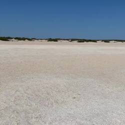 Shell beach