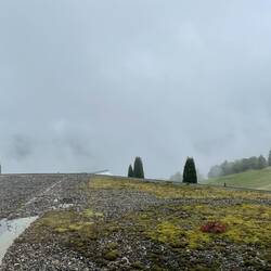 Blick aus dem Fenster