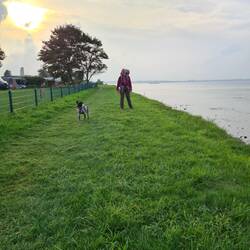 Steilküste mit neuen Weg