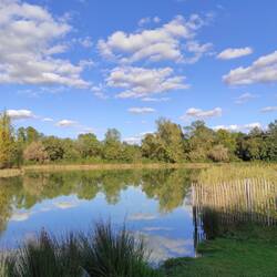 Étang de Montréal.... Pas le St Laurent, mais très chouette pour finir la Journée