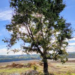 Le soleil fait cache cache