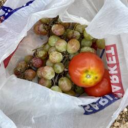 mein Geschenk (inkl. 1 Brot)