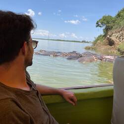 Seltenes Albino Nilpferd im Kazinga Channel