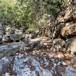 Die Wanderung führte zum Teil durch ein ausgetrocknetes Flussbett.
