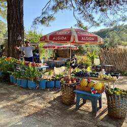 Mitten im Wald bin ich ganz unerwartet zu einer Ladung Vitamine gekommen. 😋 Der Verkäufer war top.