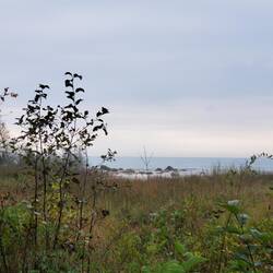 View of the lake on a gray rainy day
