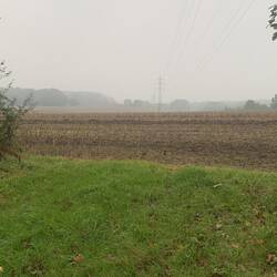 Links bäh Wetter