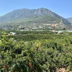 Kurz vor dem Aufstieg auf den Nachmittagspass (700 Meter rauf & 700 Meter runter 🙈)