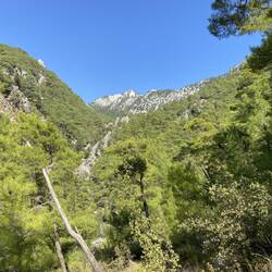 Da hinauf musste ich am Nachmittag laufen... So richtig in die Beine ging jedoch der steile Abstieg.