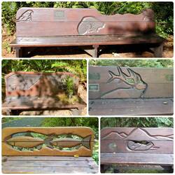 Park Benches at Wildwood