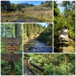 Hiking Wildwood Recreation Site