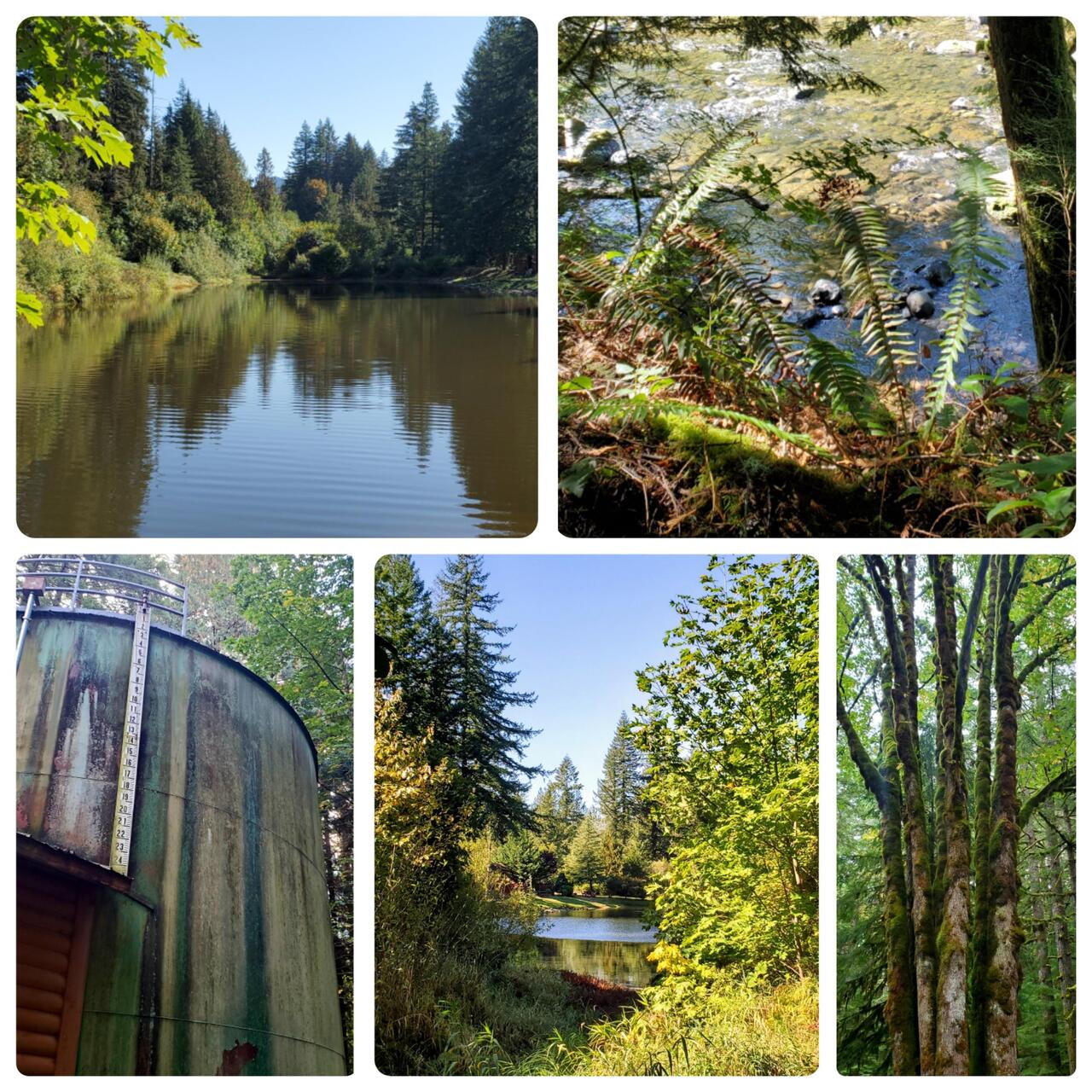 Scenes around the park