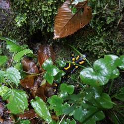 Daraus werden Schuhe gemacht😉