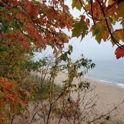 Fall color at Superior