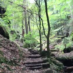 Lauschiger Aufstieg zum Hohenstein