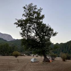 Ich sass mehr als drei Stunden vor dem wärmenden Feuer.