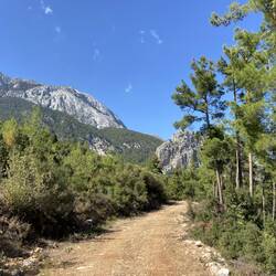 Der anschliessende Fussmarsch nach Gedelme war kurz und schmerzlos.