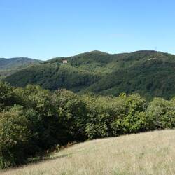 auch der Blick zurück hat was