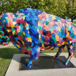 It's all about the bison in this state