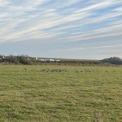 Euch hat man vergessen!