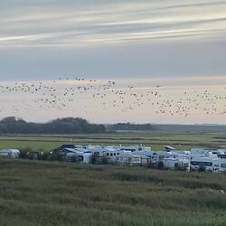 Alle sind gleichzeitig gestartet!