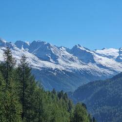 Das wird doch wohl...