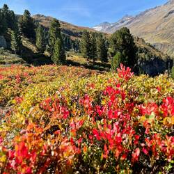 ...irgendwie zu vermarkten sein!
