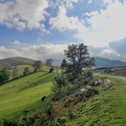 Col d'Orisson, un aperçu sur la montée qui m'attend
