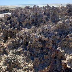 Be vary careful when walking on the land side of the reef. Very careful.