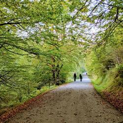 L'automne se fait sentir