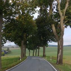 Schmale Strassen teils Allee