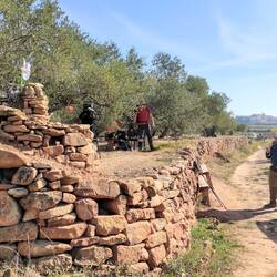 Jardin - pause dans un champ d'oliviers