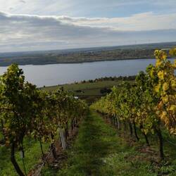 Blick vom Weinberg